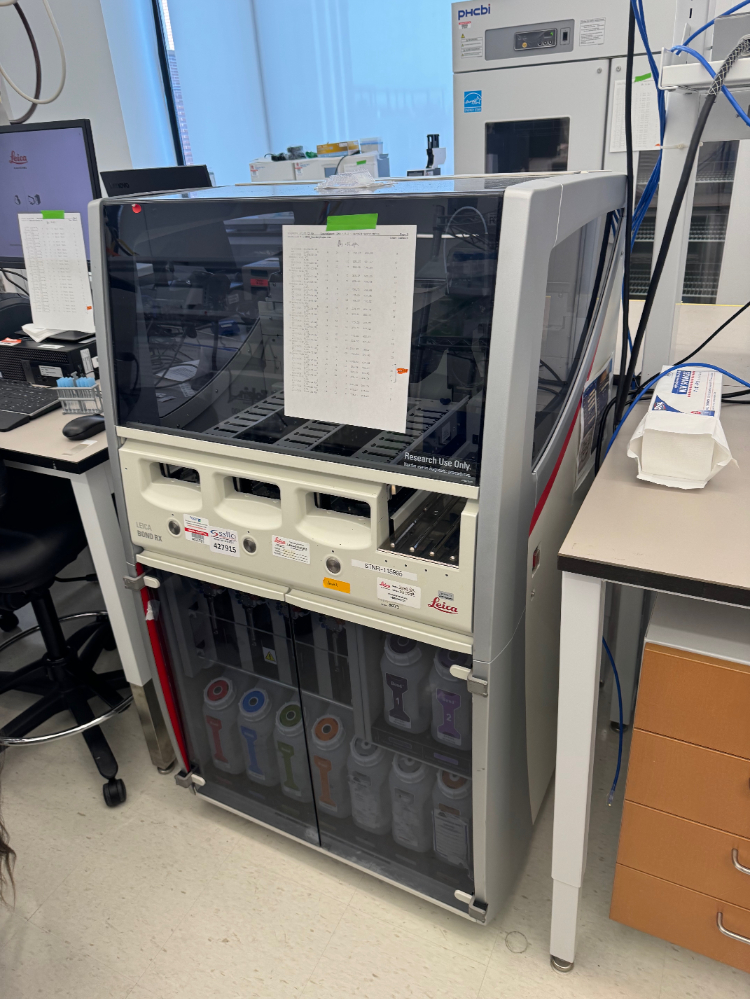 Image of Leica Bond RX Automated Research Stainer